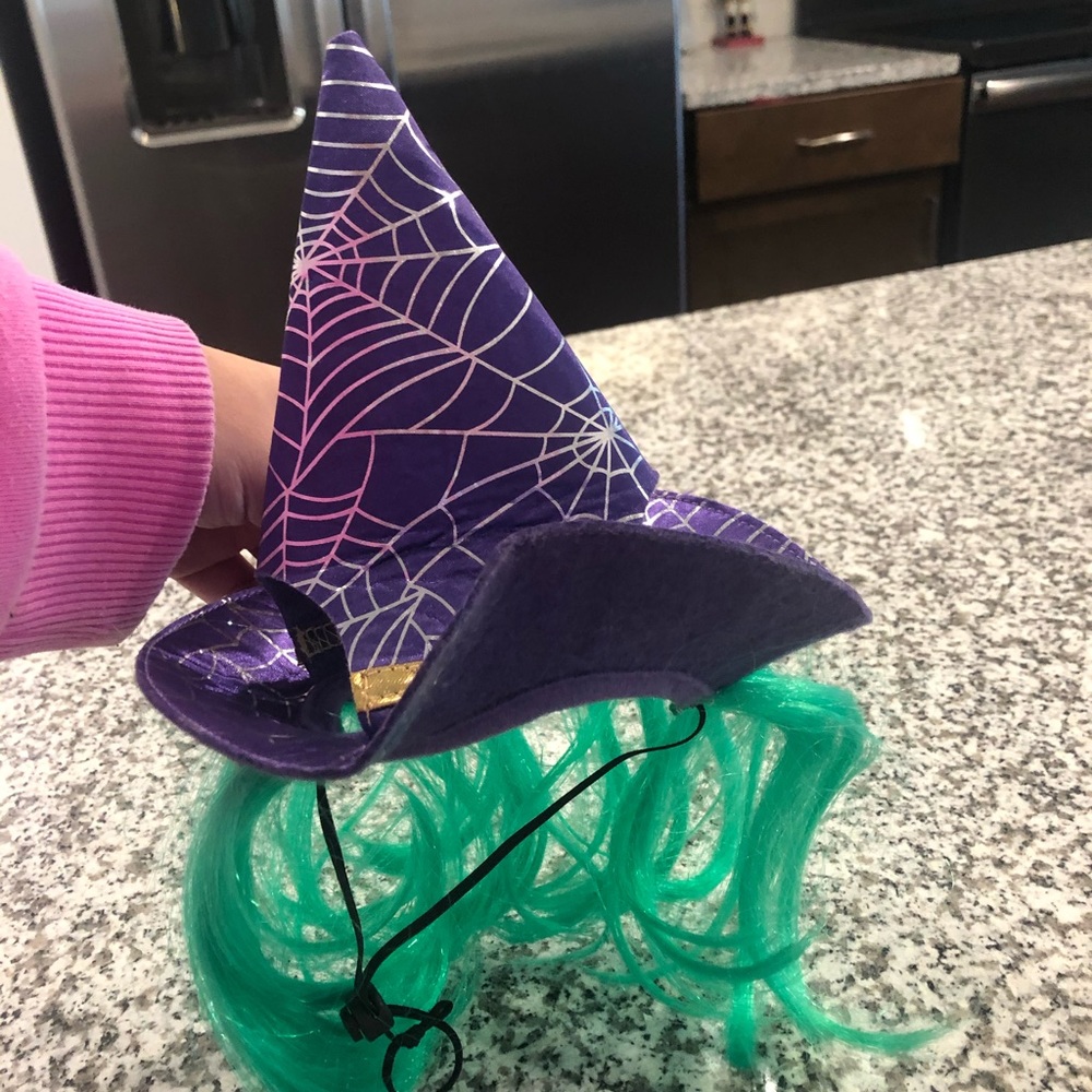 NWOT dog witch wig